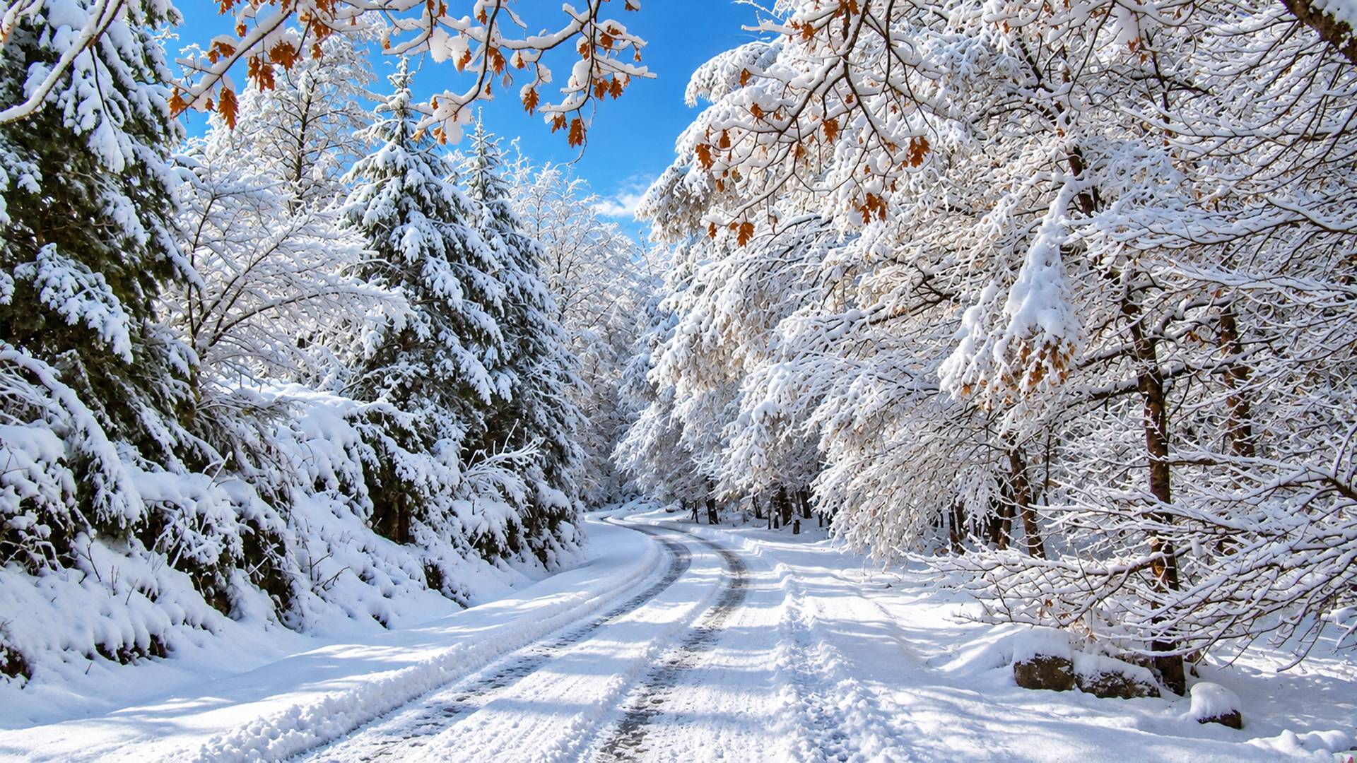 Programas especiais para o inverno 
